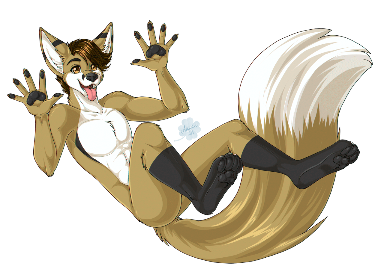 Kobaj relaxing back and showing off his paws.