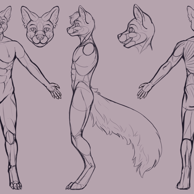 Kobaj reference that shows his muscle structure.