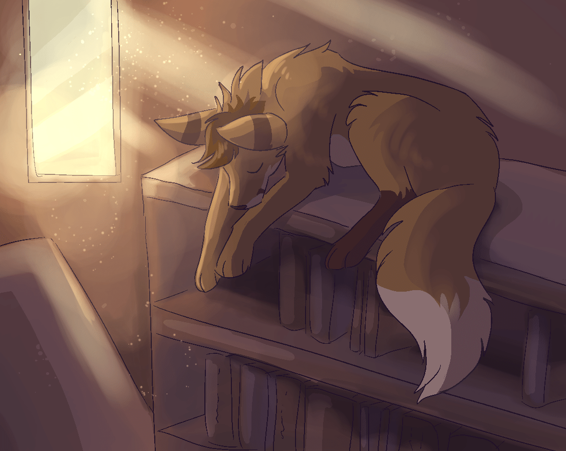 Kobaj snoozing ontop of a bookshelf in an old library.