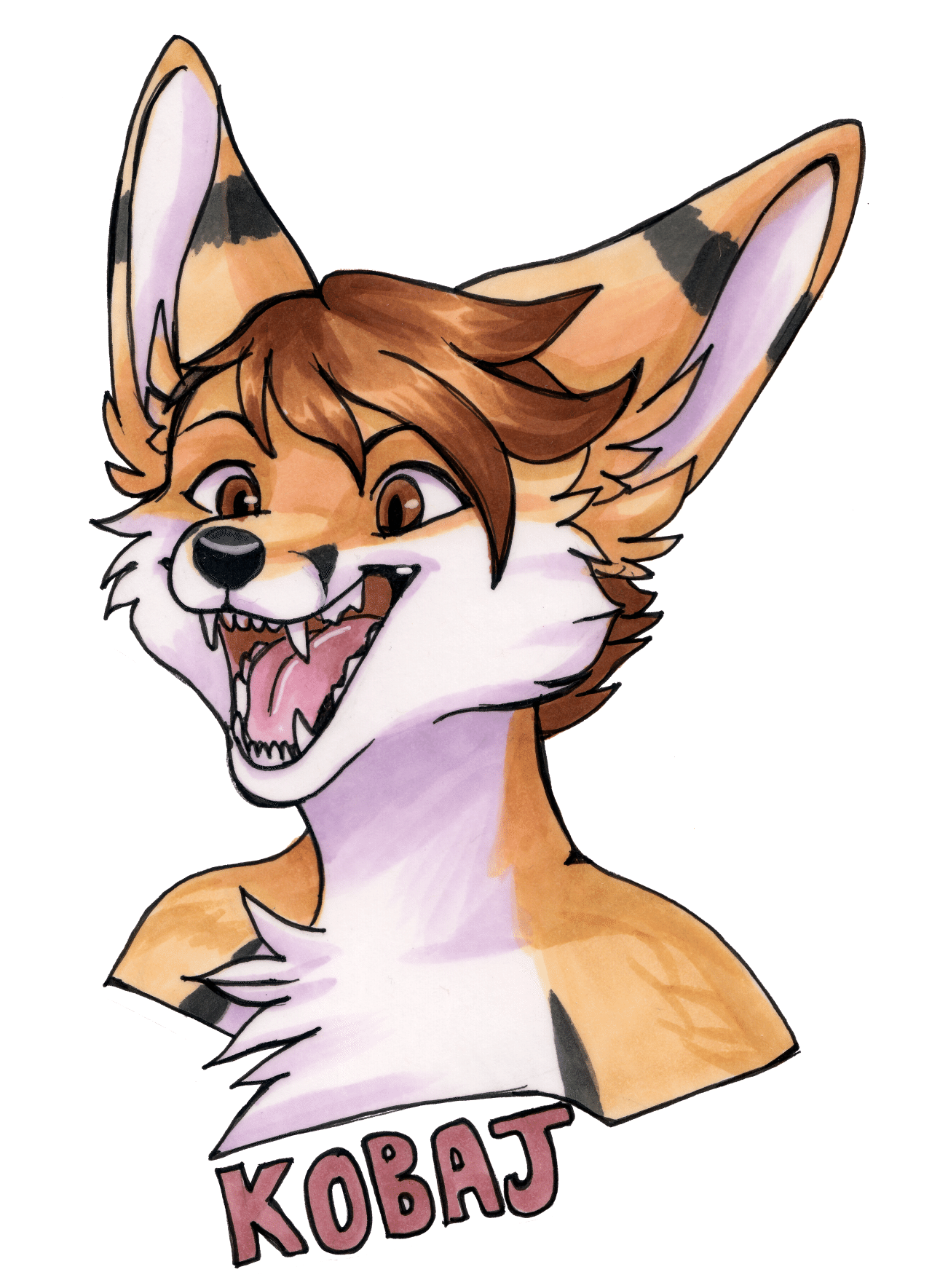 Kobaj doing what fennecs do best and screaming his cute head off.