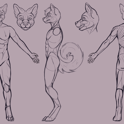 Kobaj reference that shows his muscle structure.