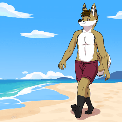 Kobaj enjoying a nice stroll on the beach.