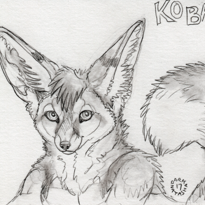 Kobaj looking at you looking at him.