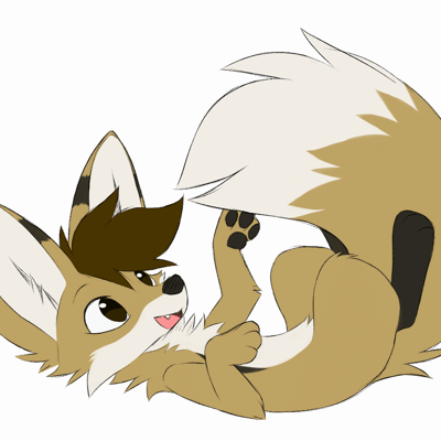 Kobaj is having a fun time batting at his big fluffy tail.